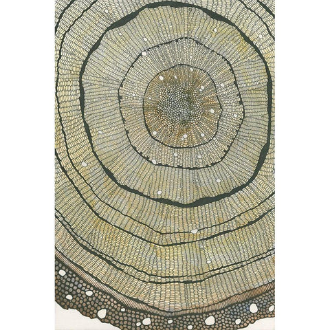 Fir Black Modern Wood Framed Art Print by Pellisier, Sandrine