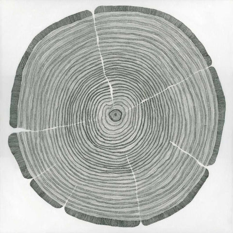 Time Lines Black Modern Wood Framed Art Print with Double Matting by Pelliser, Sandrine