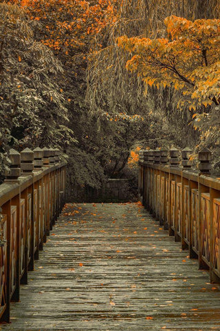 Across the Bridge White Modern Wood Framed Art Print with Double Matting by Schwartz, Don