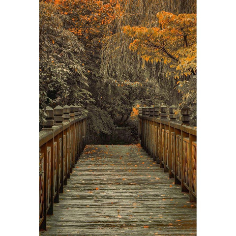 Across the Bridge Black Modern Wood Framed Art Print by Schwartz, Don