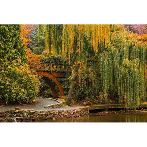 Willows Over the Pond Black Modern Wood Framed Art Print by Schwartz, Don