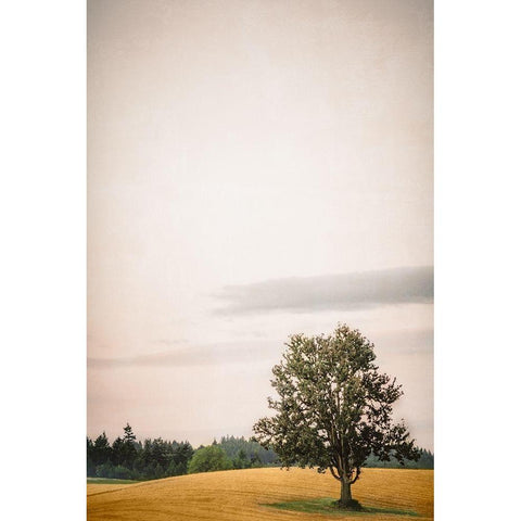 Tree in the Rolling Black Modern Wood Framed Art Print by Schwartz, Don