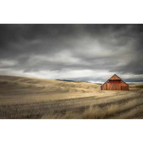 Old Barn in the Winter Field Gold Ornate Wood Framed Art Print with Double Matting by Schwartz, Don