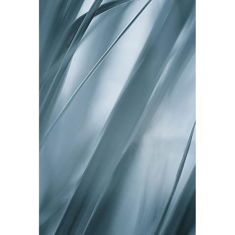 Blades of Grass  Gold Ornate Wood Framed Art Print with Double Matting by Schwartz, Don