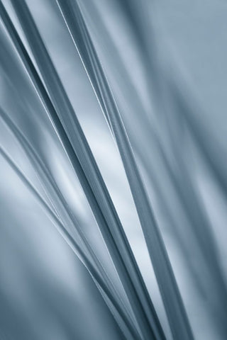 Slanting  White Modern Wood Framed Art Print with Double Matting by Schwartz, Don