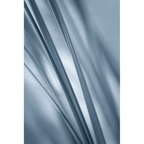 Slanting  Black Modern Wood Framed Art Print by Schwartz, Don