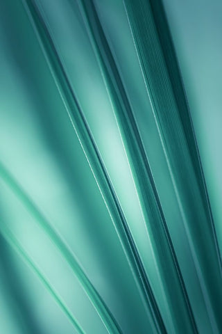 Tilting Blades  White Modern Wood Framed Art Print with Double Matting by Schwartz, Don