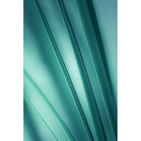 Tilting Blades  Black Modern Wood Framed Art Print by Schwartz, Don