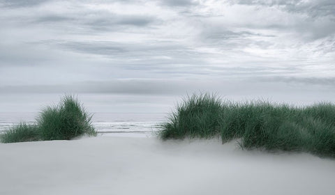 View Through the Dune Grasses Black Ornate Wood Framed Art Print with Double Matting by Schwartz, Don