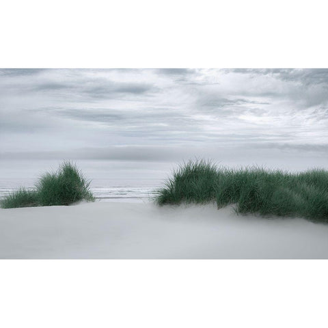 View Through the Dune Grasses Black Modern Wood Framed Art Print by Schwartz, Don