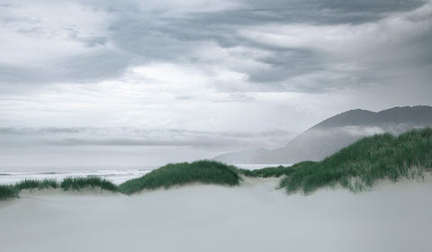 Along the Dunes  White Modern Wood Framed Art Print with Double Matting by Schwartz, Don