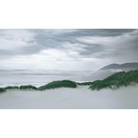 Along the Dunes  Black Modern Wood Framed Art Print with Double Matting by Schwartz, Don