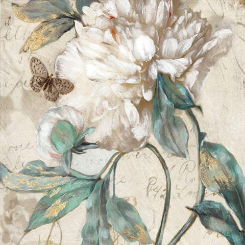 Morning Peony II Black Ornate Wood Framed Art Print with Double Matting by Theodosiou, Matina