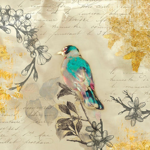 Backyard Birds III White Modern Wood Framed Art Print by Theodosiou, Matina