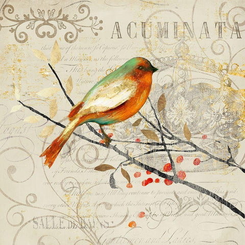 Sing Song Bird I Black Modern Wood Framed Art Print with Double Matting by Theodosiou, Matina