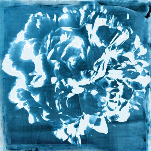 Indigo Floret I Black Modern Wood Framed Art Print by Theodosiou, Matina