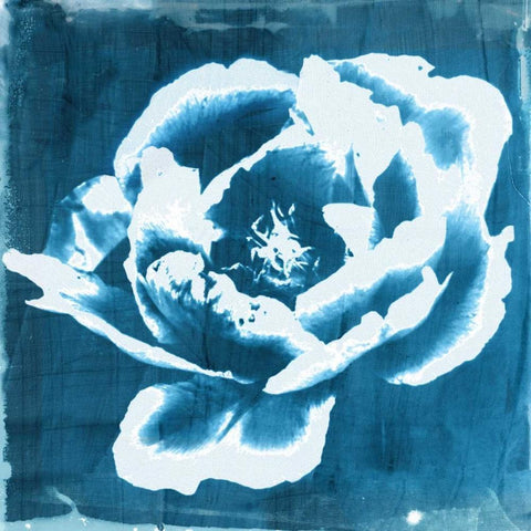 Indigo Floret II Black Modern Wood Framed Art Print with Double Matting by Theodosiou, Matina