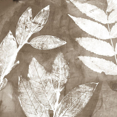 Petal Imprint II Neutral Version White Modern Wood Framed Art Print with Double Matting by Theodosiou, Matina