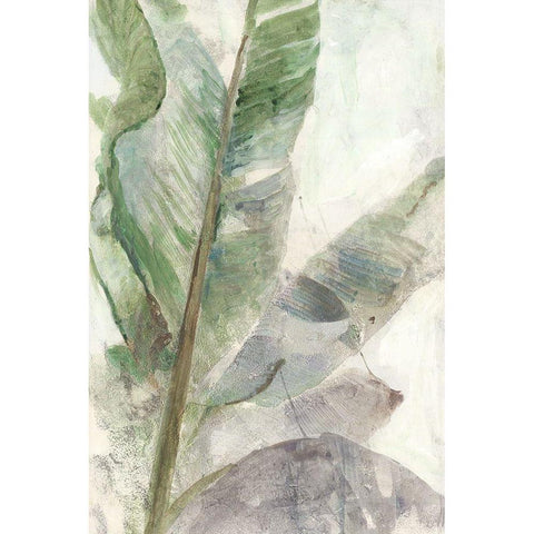 Tropic Plant Black Modern Wood Framed Art Print by Theodosiou, Matina