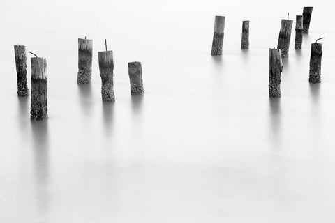 Calm II White Modern Wood Framed Art Print with Double Matting by Tennant, Chris