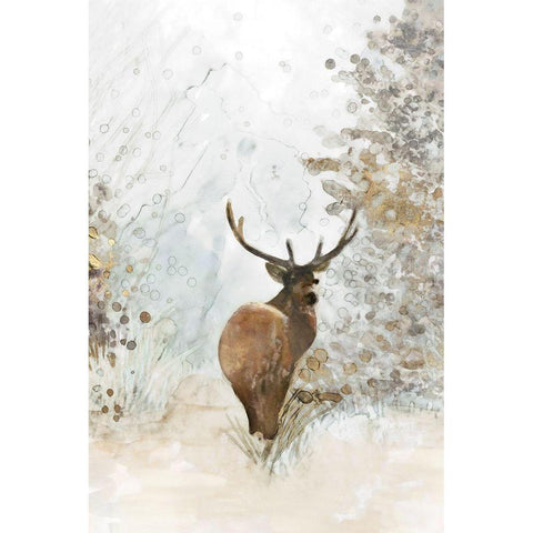 Grand Elk I  Black Modern Wood Framed Art Print with Double Matting by Stellar Design Studio