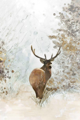 Grand Elk I  Black Ornate Wood Framed Art Print with Double Matting by Stellar Design Studio