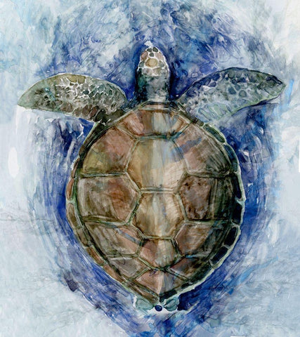 Swimming Sea TurtleÂ  White Modern Wood Framed Art Print with Double Matting by Stellar Design Studio