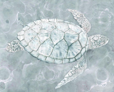 Sea TurtleÂ  Black Ornate Wood Framed Art Print with Double Matting by Stellar Design Studio