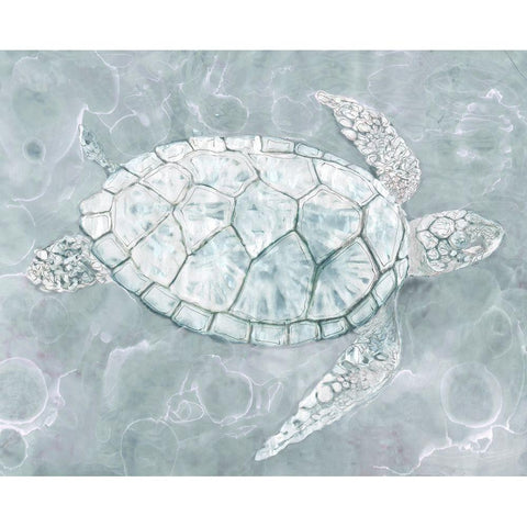 Sea TurtleÂ  Black Modern Wood Framed Art Print by Stellar Design Studio