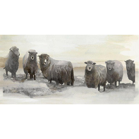 Winter Sheeps II Black Modern Wood Framed Art Print with Double Matting by Stellar  Design Studio
