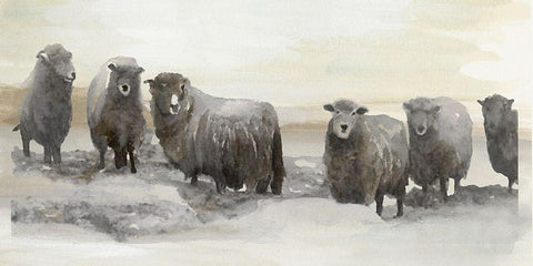 Winter Sheeps II White Modern Wood Framed Art Print with Double Matting by Stellar  Design Studio