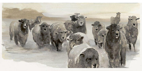 Winter Sheeps II  White Modern Wood Framed Art Print with Double Matting by Stellar  Design Studio