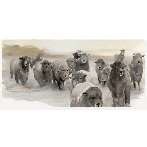 Winter Sheeps II  Black Modern Wood Framed Art Print by Stellar  Design Studio