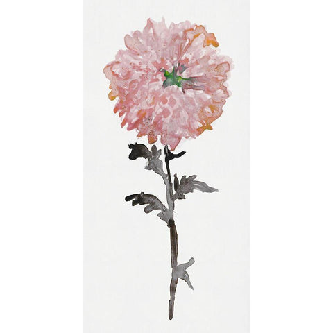 Flourishing Floral II  White Modern Wood Framed Art Print by Stellar Design Studio