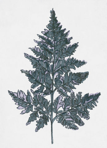 Blue Botanical Leaf I White Modern Wood Framed Art Print with Double Matting by Stellar Design Studio