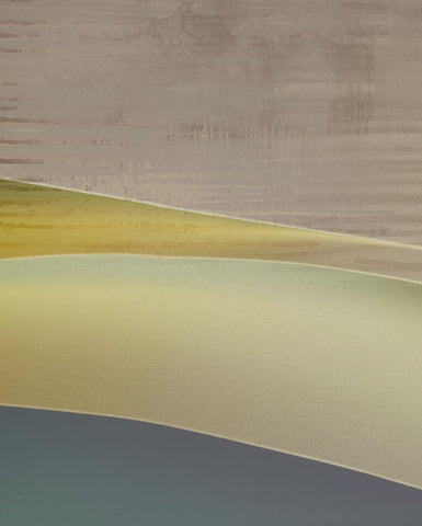 Yellow Flow I  White Modern Wood Framed Art Print with Double Matting by Suma And Guillen