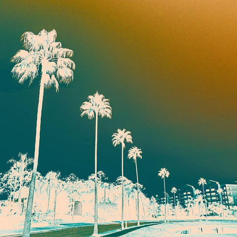 Hotel Drive  Black Modern Wood Framed Art Print by J:L Design