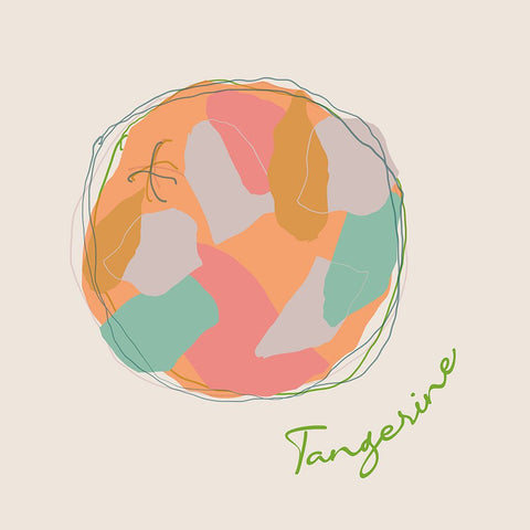 Fresh Tangerine White Modern Wood Framed Art Print with Double Matting by J:L Design