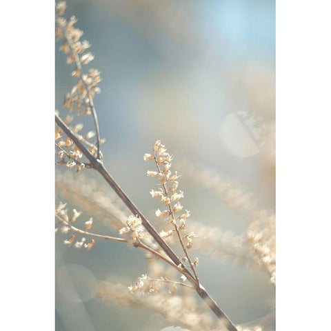 Golden Branch I  Black Modern Wood Framed Art Print with Double Matting by J:L Design