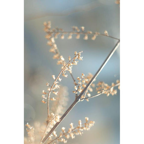 Golden Branch II Gold Ornate Wood Framed Art Print with Double Matting by J:L Design
