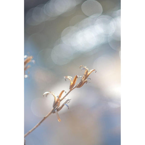 Spring Branch I  Black Modern Wood Framed Art Print by J:L Design