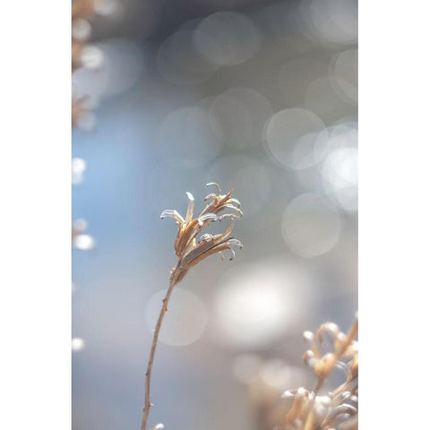 Spring Branch II White Modern Wood Framed Art Print by J:L Design