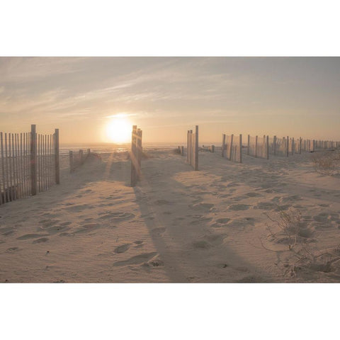 Sunset Beach Dune  White Modern Wood Framed Art Print by J:L Design