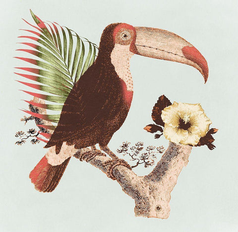 Tropical Toucan White Modern Wood Framed Art Print with Double Matting by Surma