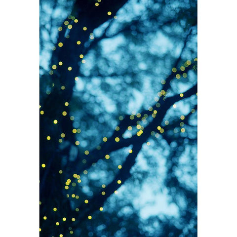 Through the Bokeh Black Modern Wood Framed Art Print with Double Matting by Victoria, Chelsea