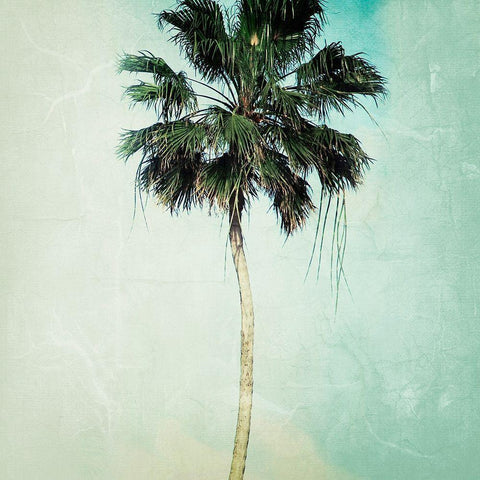 Beverly Hills II Black Modern Wood Framed Art Print by Kedron, Chelsea