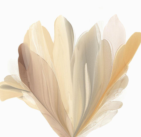Blooming Wisdom  White Modern Wood Framed Art Print with Double Matting by McFarland, Vicki