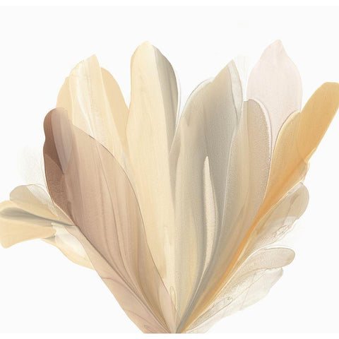 Blooming Wisdom  White Modern Wood Framed Art Print by McFarland, Vicki