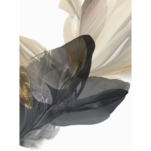 Emerging Gold II Black Modern Wood Framed Art Print by McFarland, Vicki