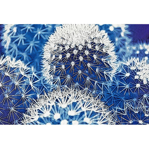 Blue and Prickly I Gold Ornate Wood Framed Art Print with Double Matting by Vincze